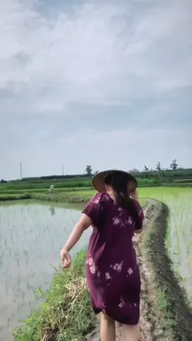 jalanan sawah #suasanasawah #suasanadesa