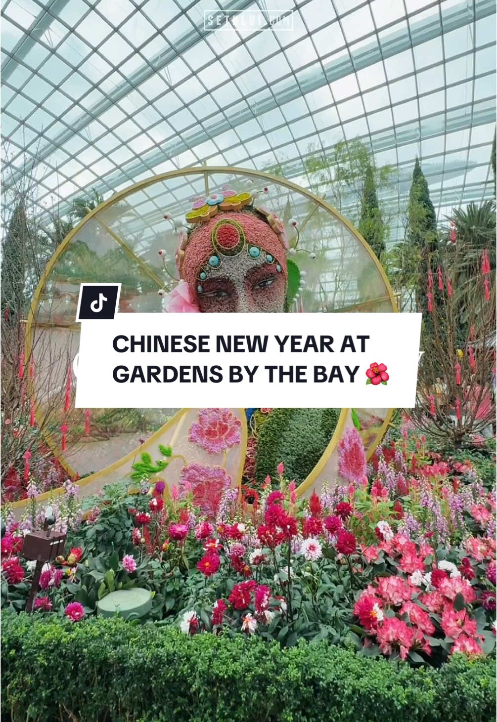 gardens by the bay outdid themselves this year for CNY 👏🏻🐍🌺 📍Spring Blossoms @ Flower Dome ⏰ 9am-9pm 📆 Now till 23 Feb 2025 🎟 Starting from $12 #singapore #sgtiktok #gardensbythebay #singaporetrending #chinesenewyear 