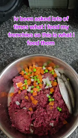 @Natasha @Norfolk_raws  #dinnertime #dogs #dogfood #frenchbulldog #frenchie #viral_video #fyp #everyone #500gofraw #vegas #fish 