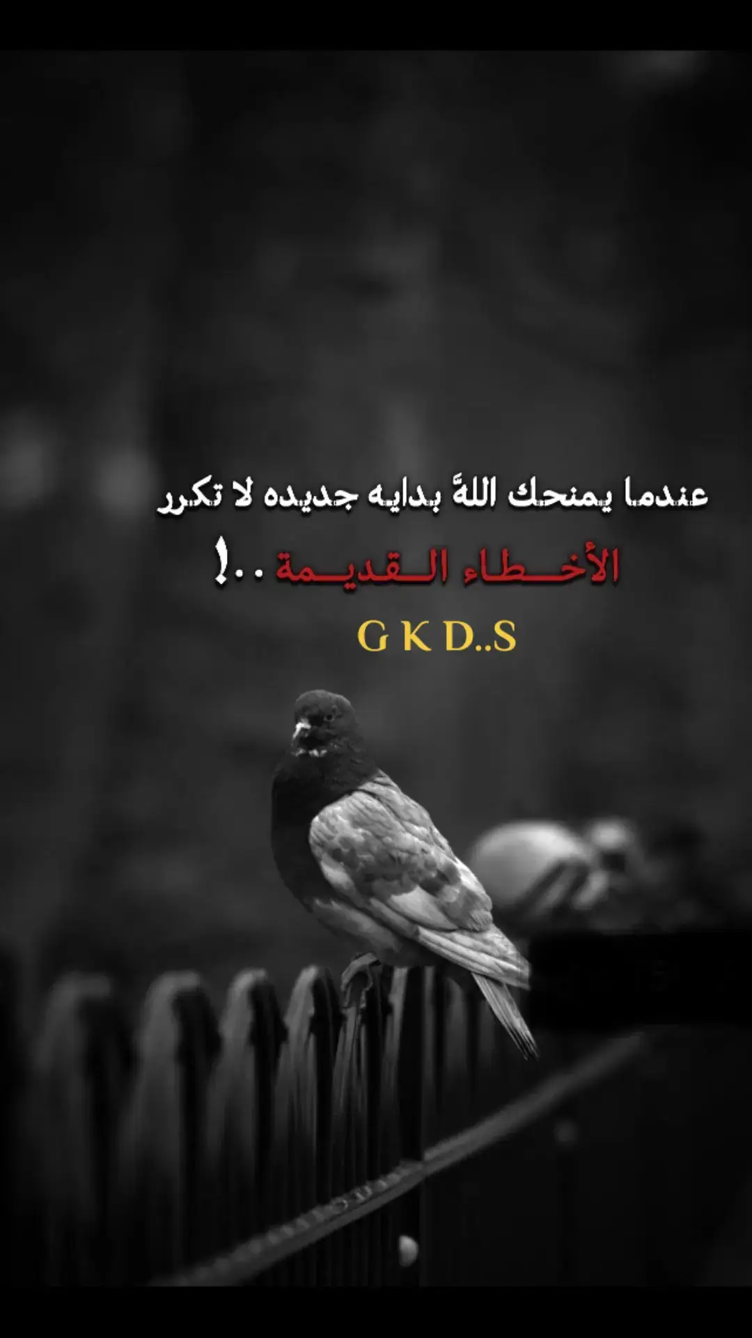 #فيها_خير_إن_شاء_الله  G K D..S