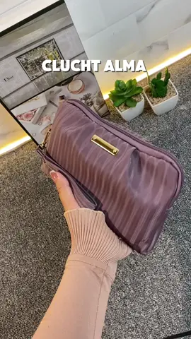 Clucth Alma tas dompet wanita #tasaesthetic #tasdompetmurah #taslucu 