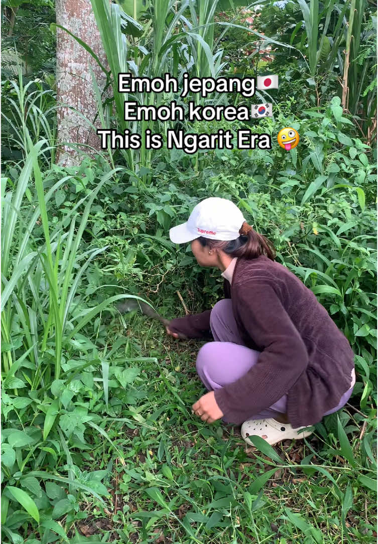 Yang ngarit ngarit aja 😅😅😅 #ngarit #ngarityuk #ngaretsuket #ngaret #jepang🇯🇵 #korea 