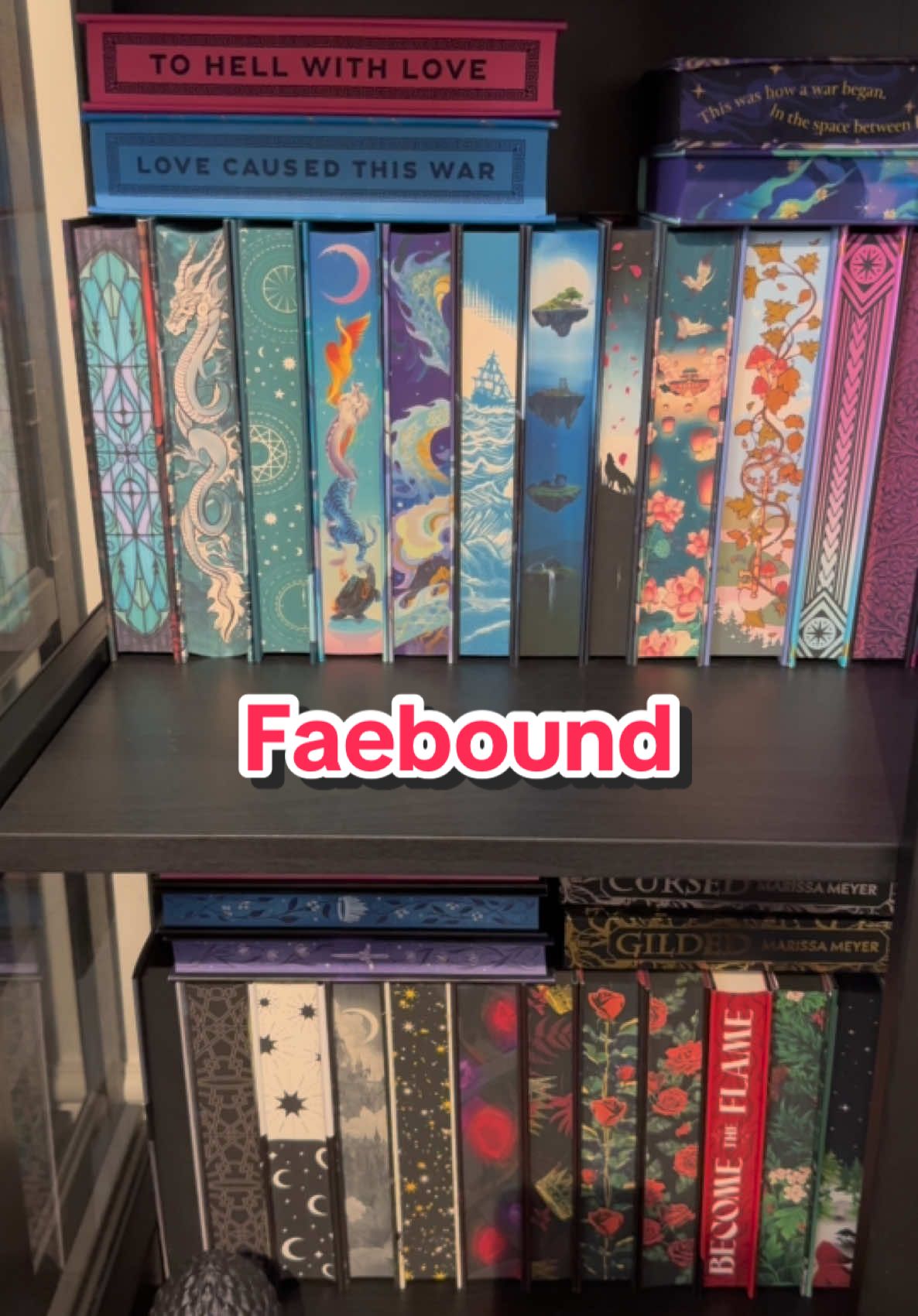 Thank you @HarperCollinsUK for this gorgeous edition of Faebound! 🩷 #BookTok #bookstagram #booktokuk #booktokfyp #fyp #reading #fantasyreader #bookdragon #harpercollins #harpercollinsuk #faebound 