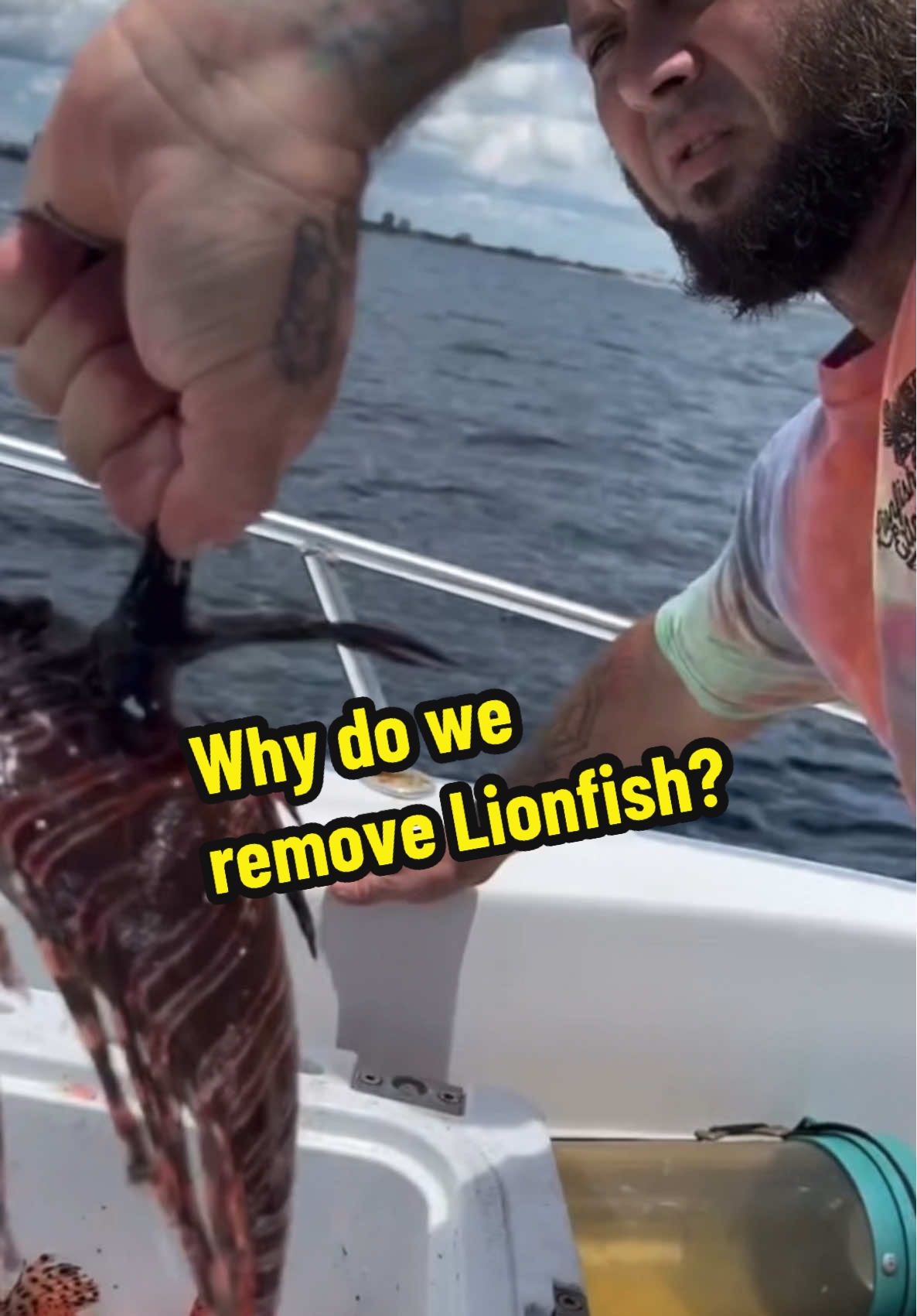 A lot of people have been asking what damage does the Lionfish do in this video? Helps to explain that. If you want to start hunting Lionfish yourself you can! And you can get your gear from www.lionfishzk.com 10% off with code Lionfishxcorp lionfish #lionfishextermination #lionfishhunting #cleaninglionfish #showusyourzk #lionfishguy #discoverychannel #spearfishingdinnerisnotanimalabuse #venomousfish #nonprofitorganization #invasivespecies #lionfishexterminationcorp #nonprofitorganization  @Alex Borsutzky @ZooKeeper @Nathaniel Sorensen @Rachel Taub 
