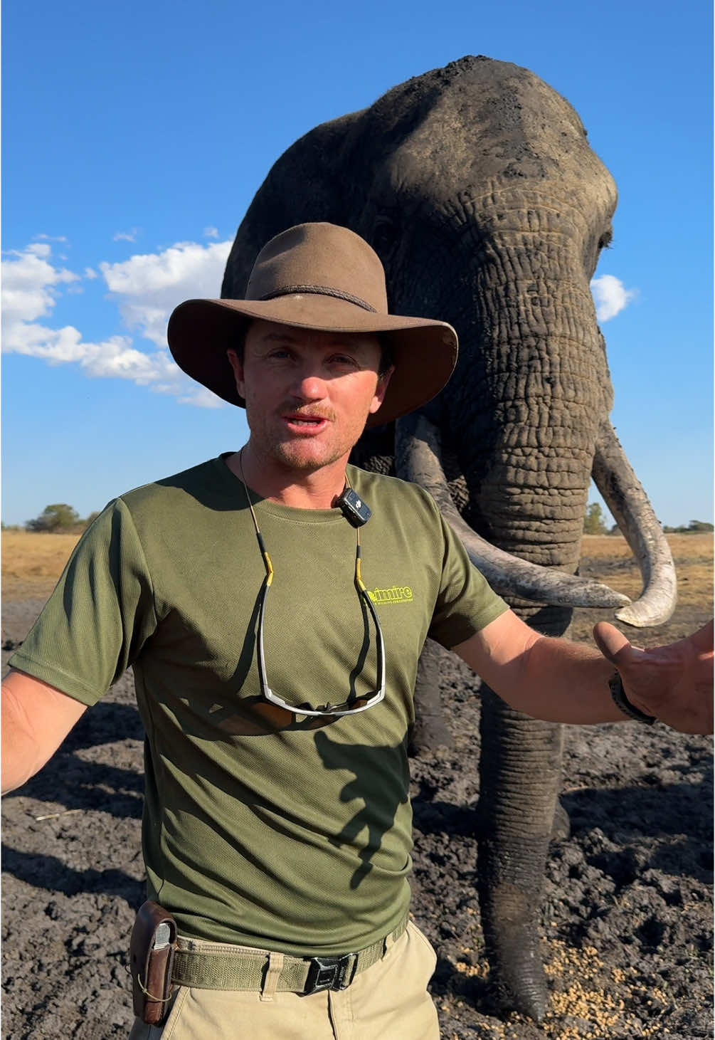 Mud bath time for Mak - he looks like a mean Ellie! 🤠🐘💥 #elephant #closeup  #fyp #conservation #zimbabwe #reillytravers 