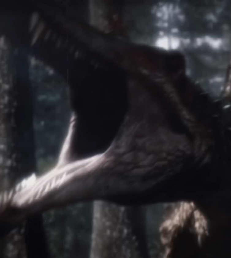 The biggest killer to walk the earth || Spinosaurus #spinosaurus #planetdinosaur #spinosaurusedit #documentary #dinosaurs #paleontology #capcut #fyp #viral #edit #jurassicworldclipz 