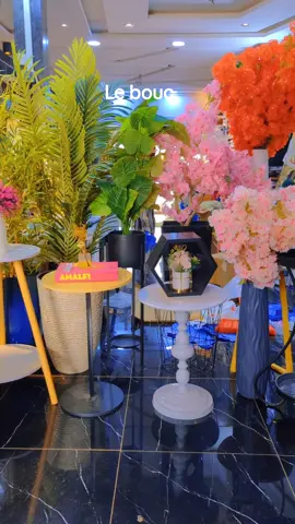 🤣🤣le bouc vraiment #decointerieure#plante#potdefleurs#table. tout pour votre deco intérieure avec chic bazar#tiktoktogo🇹🇬 #93343534 #viral 