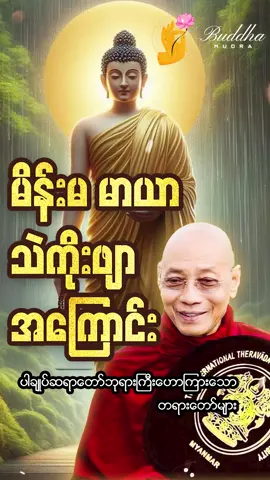 #ပါချုပ်ဆရာတော် #တရားတော်များနာယူနိုင်ပါစေ🙏 #ပါချုပ်ဆရာတော်ဘုရားကြီး၏အဆုံးအမ #ပါချုပ်ဆရာတော်ဘုရာကြီး🙏🙏🙏 #ပါချုပ်ဆရာတော်ဘုရားကြီး🙏🙏🙏 #ပါချုပ်ဆရာတော်ဘုရာကြီး၏အဆုံးအမ🙏🙏🙏 #တရားနာကြွကြပါဗျို့🙏🙏🙏 #တရားတို #တရားတော်များ #တရား #မေတ္တာပို့ #buddhamudra #tarot