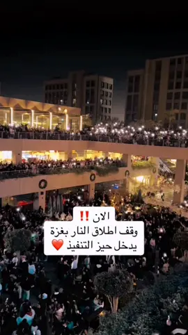 وقف إطلاق النار في غزه يدخل حيز التنفيذ 🇵🇸🇵🇸 #غزه  #اكسبلور  #غزه_فلسطين🇵🇸  #اخبار  #مصر_السعوديه_العراق_فلسطين  #مصر🇪🇬  #فلسطين  #فلسطين🇵🇸 