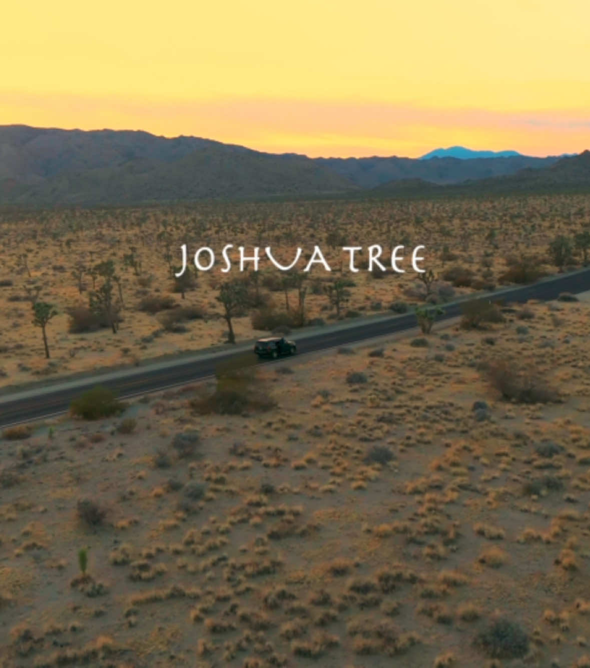 Memories from Joshua Tree #california #joshuatree #colorgrade #aesthetic #rockclimbing #film 