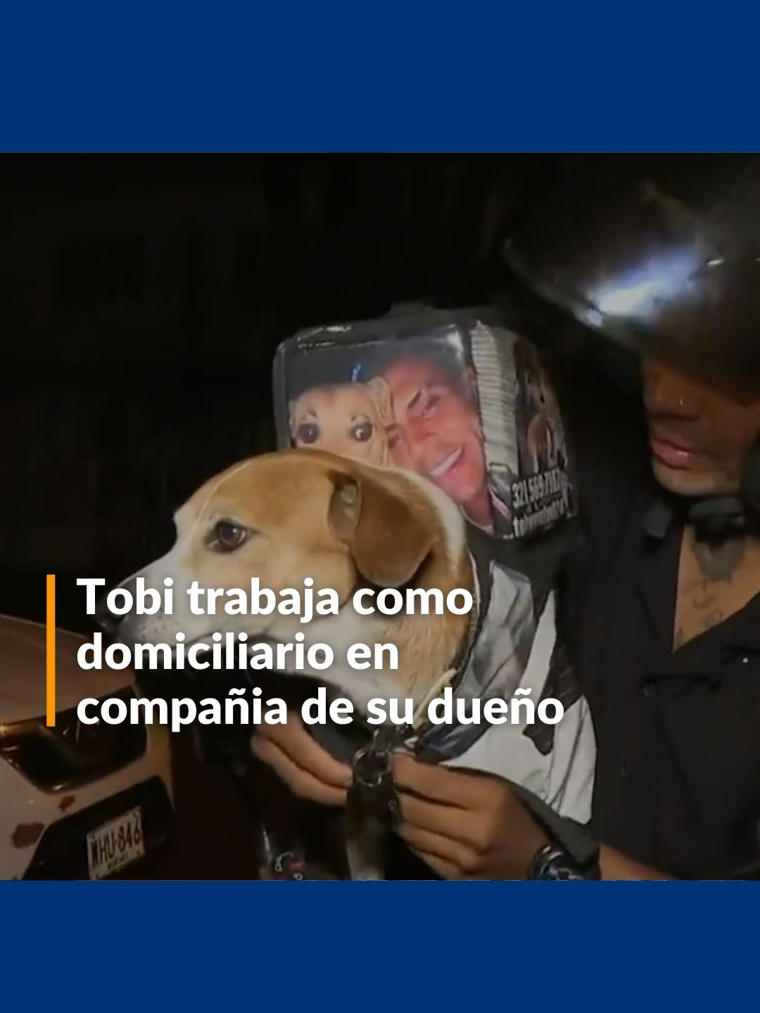 Tobi es un perrito que pasó de dormir en las calles a recorrerlas en moto junto a su amo, Juan Camilo Pinto, quien es un domiciliario en Cali. Juntos recorren la ciudad entregando pedidos.  Este fiel compañero llegó a la vida de Juan hace 5 años y desde entonces se ha convertido en el mejor coequipero, trayendo alegría y llamando la atención de quienes reciben su servicio. Más en noticiascaracol.com #Perrito #Domicilio #Cali