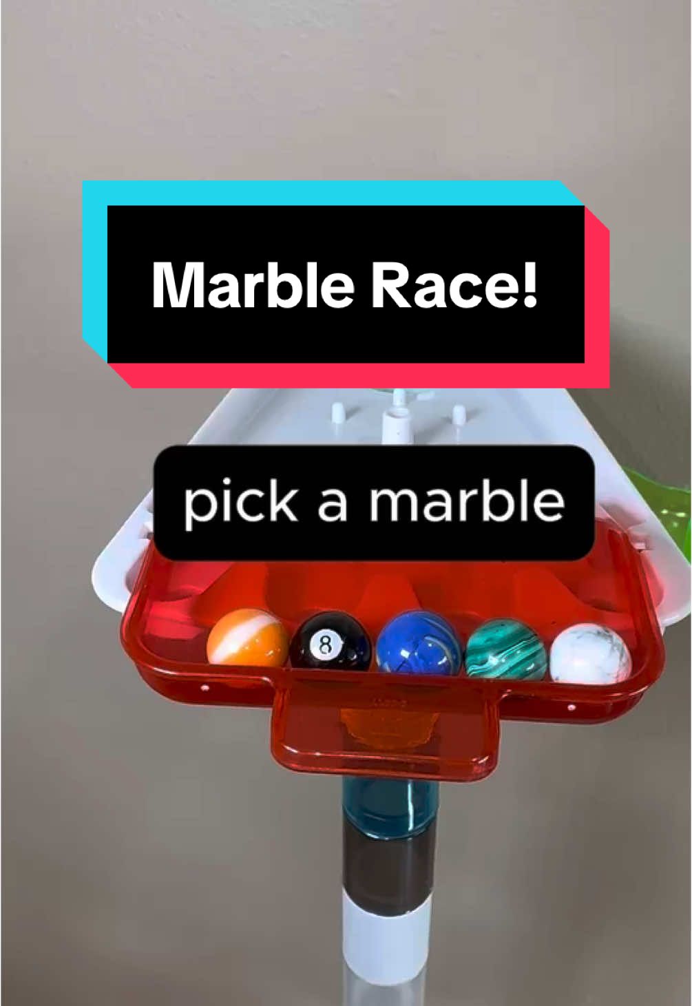 Who will win the race? 🏆 #MarbleRace #MarbleRun #marbles #fyp 