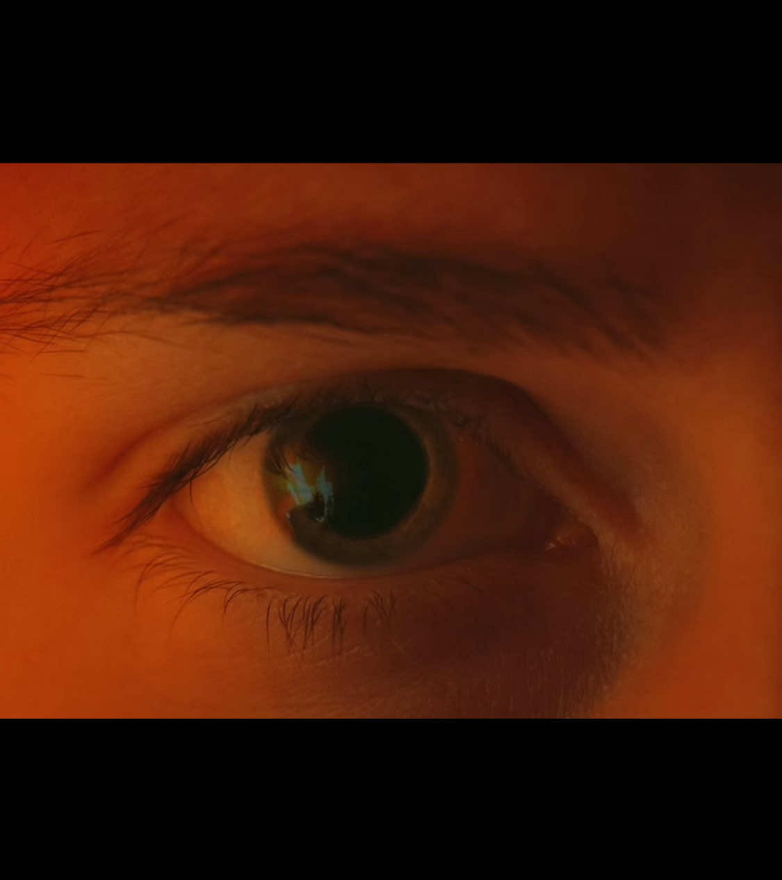 And finally… #cinematic #cinematography #fyppp #photography #storytelling 