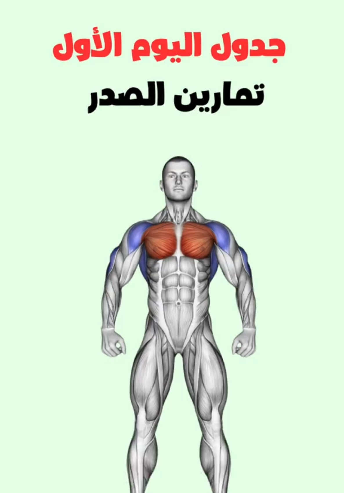 جدول تمارين اليوم الاول : تمارين عضلة الصدر#كمال_اجسام #رياضة_كمال_اجسام #اكسبلور #Fitness #workout 