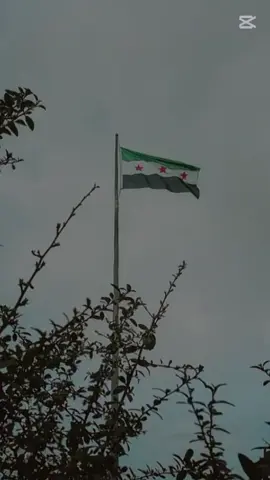 القول قول الصوارم 💚🔥