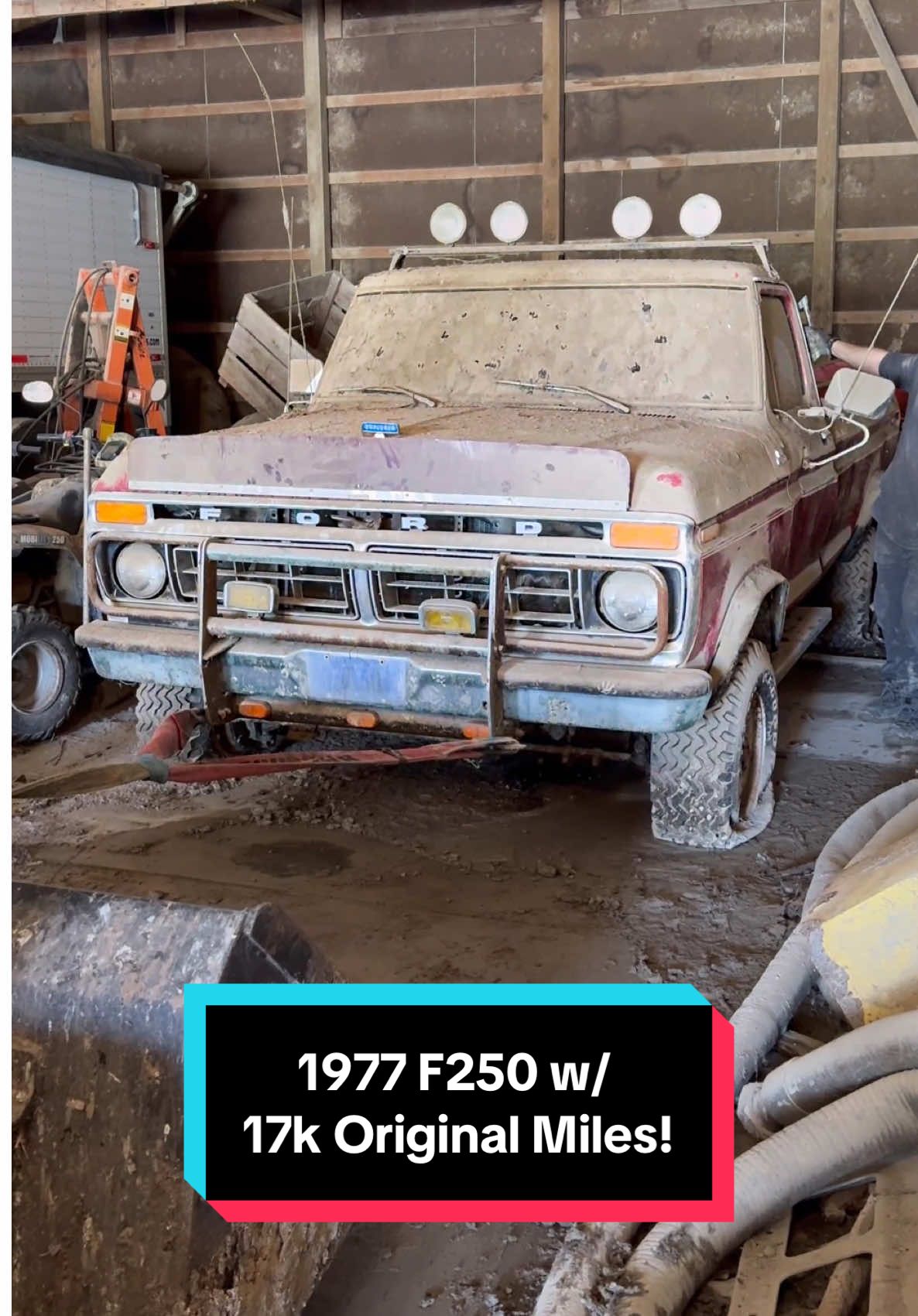 1977 F250 w/ 17k Original Miles Found Abandoned! #wddetailing #detailing #carwash #carcleaning #satisfying #satisfyingvideos #barnfind #fyp #abandoned #cardetailing #pressurewashing #asmr #trending #trend 