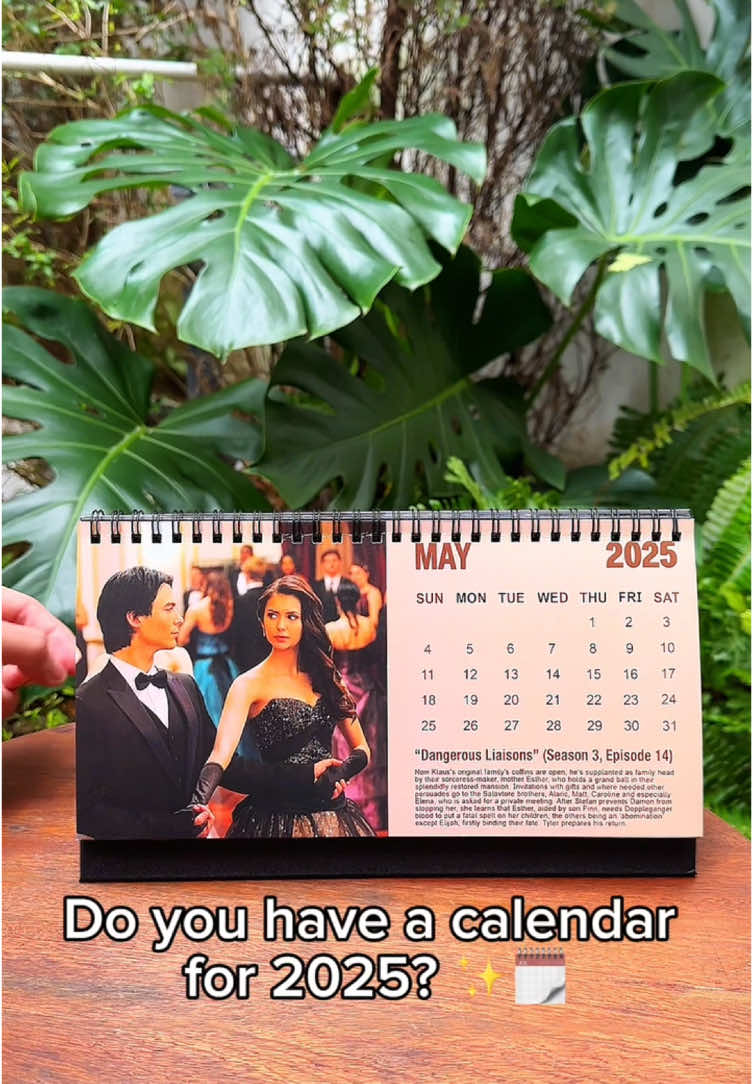 The Vampire Diaries Calendar 2025 ✨🥰🫶🏻 #vampirediaries #thevampire #thevampirediaries #damonsalvatore #iansomerholder #tvdposts #tvd #tvdmerch 