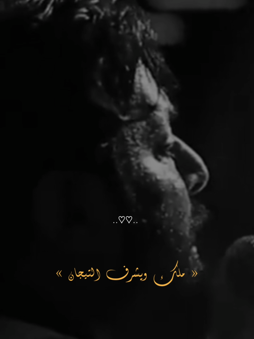 هاشم سادة الدنيا🤎 #لايك  #حسن_خرييط  #اكسبلورexplore  #تصاميم_فيديوهات🎵🎤🎬  #ابداع  #آلمصمم_احـمـد 