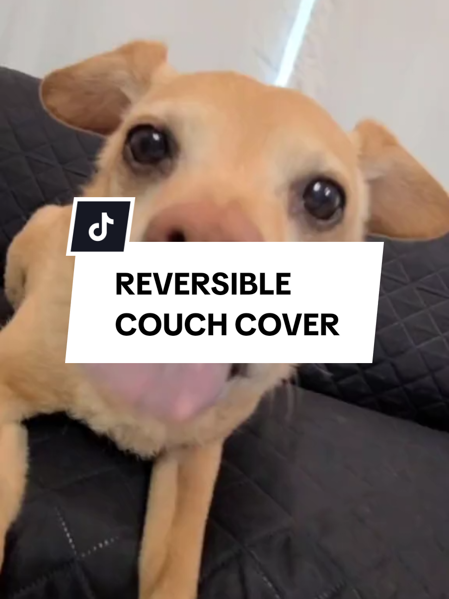 Reversible Couch Cover - protect your furniture from daily wear and tear, spills and stains #easy -going #easygoing #ieasygoing #sofa #spills #reversible #stains #wearandtear #sofacover #polyester #furniture #furnituredesign #2025  #fyp 