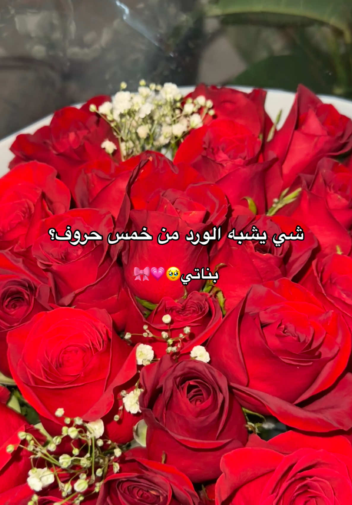 ‏مَنْ يُشبِه الوَرْدَ؛ يَنمو حَولَهُ الوَرْدُ.🥹❤️🌹#بناتي_حياتي_وكل_دنيتي #البنات_الطف_الكائنات #البنات_سكر_نبات #منشن #بنوتاتي_الحلوات💖😩 #بنتي_حبيبت_امها😻💕 #بناتي_حياتي #بناتي #حبيباتي #ستوريات #الشعب_الصيني_ماله_حل😂😂 #fyp #مشاهير_تيك_توك_مشاهير_العرب #yyyyyyyyyyyyyyyyyy #كندا🇨🇦 #المانيا_السويد_النمسا_النروج_دينيمارك #canada_life🇨🇦 #سوريا_تركيا_العراق_السعودية_الكويت #explore #tik_tok #لبنان_مصر_الخليج_سوريا #تركيا🇹🇷اسطنبول #اكسبلور #اكسبلورexplore❥🕊 