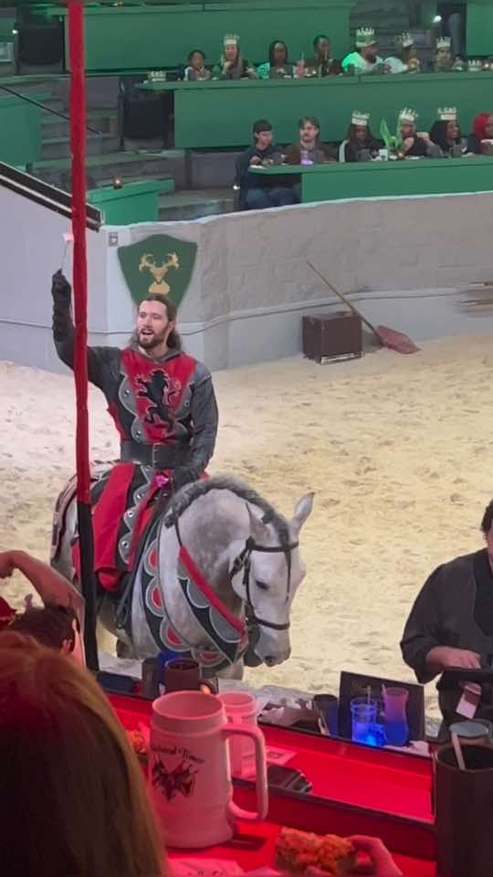 Just horsin around  #medievaltiktok #knight #horses #BookTok #hairstyle #fantasy #renaissance #fighting #riding 