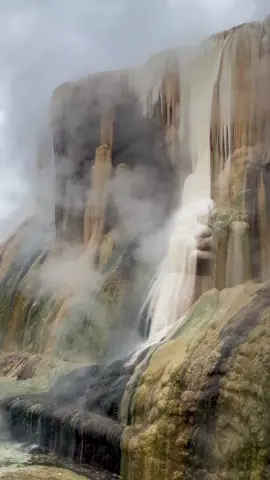 📍Hammam Debagh 🌱Hot Springs 🌱 #guelma #algeria   . . . #algerie🇩🇿 #tourist #springs #algeriatravel  #TravelTikTok #fyp #algeriavacations  #travel #beautifuldestinations #destination #vacation #holiday 