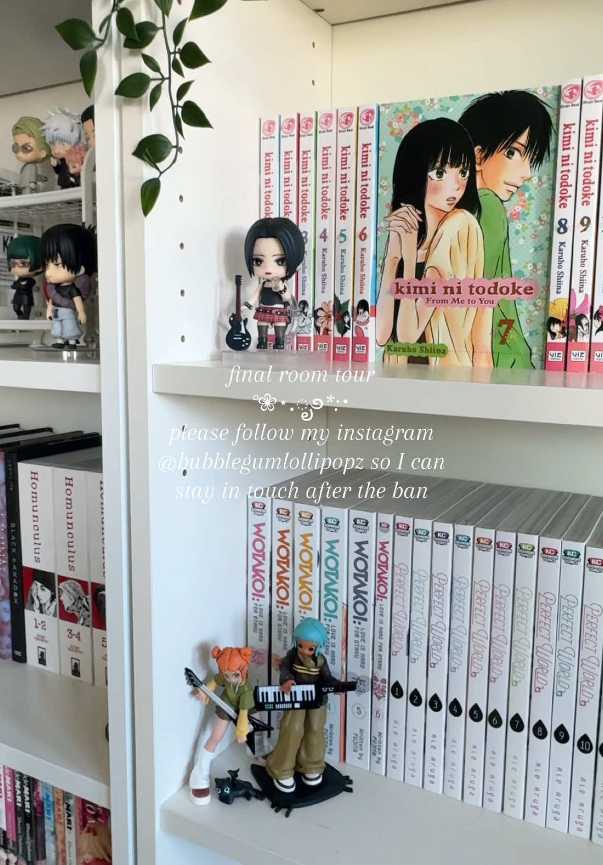 please please please follow my ig! I’ll miss you guys so much :( 🤍 #manga #anime #RoomTour #mangahaul #fyp #foryoupage #nana #animefigure #nendoroid #animeedit #figure #dandadan #jujutsukaisen #chainsawman #AttackOnTitan #sonnyangel #deathnote #kiminitodoke #kamisamakiss #fruitsbasket #shoujo 