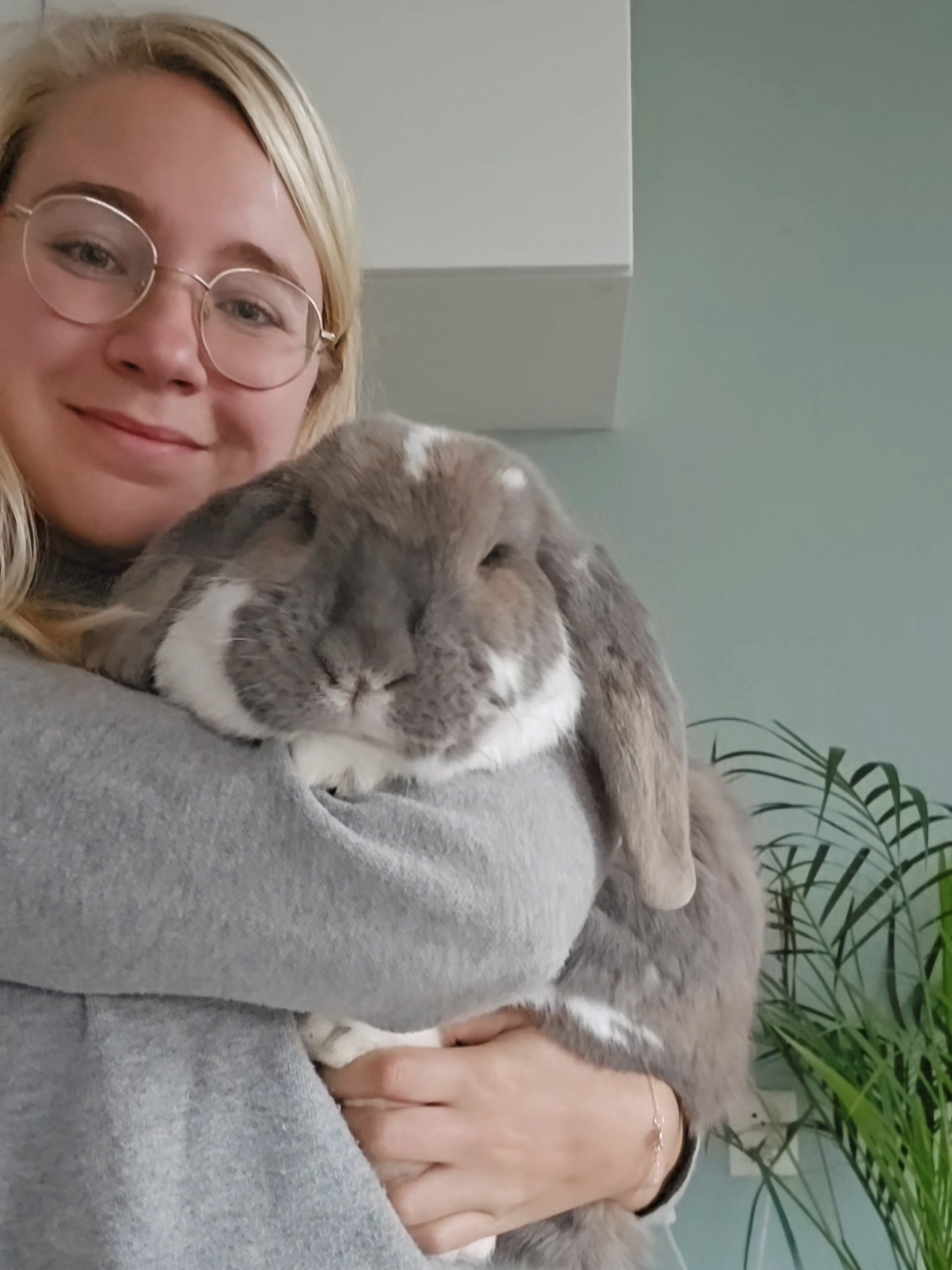 Love her so much🤍 . Audio from doodlehomes. . . . . . #rabbit #bunny #animals #cute #cuteanimals #bunnyinstagram #rabbitlife #frenchlop #bunnylove #pet #petlovers #petlover #bunnylife #rabbitinstagram #adorable #bunnyoftheday