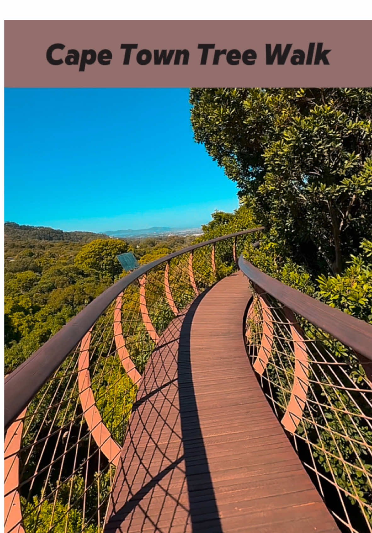 The Botanical Gardens in Cape Town have a cool tree walkway but that’s about it, not worth the £10 entry • • #southafrica #capetown #southafricatiktok #garden #tree #nature #africa #capetownsouthafrica #travel #backpacking #views #fyp 