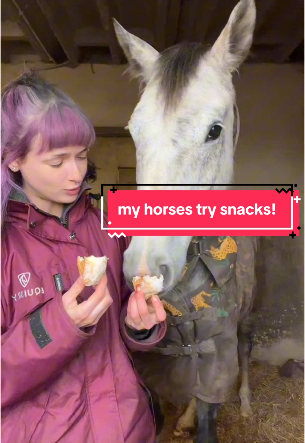 Moonlight was NOT having any of my bs today🙈 #equestrian #equine #horsegirl #horsetok #horsesoftiktok #horsebackriding #equestrianlife #equestrianvibes #foryou #abcxyz #fyp 