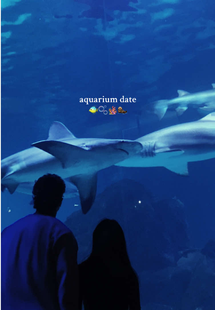 the hippo’s ears were so cuteee 🫧  #aquarium #fyp #hippo #philly #dateideas #newjersey #turtle #aquariumdate #jellyfish  #stringray