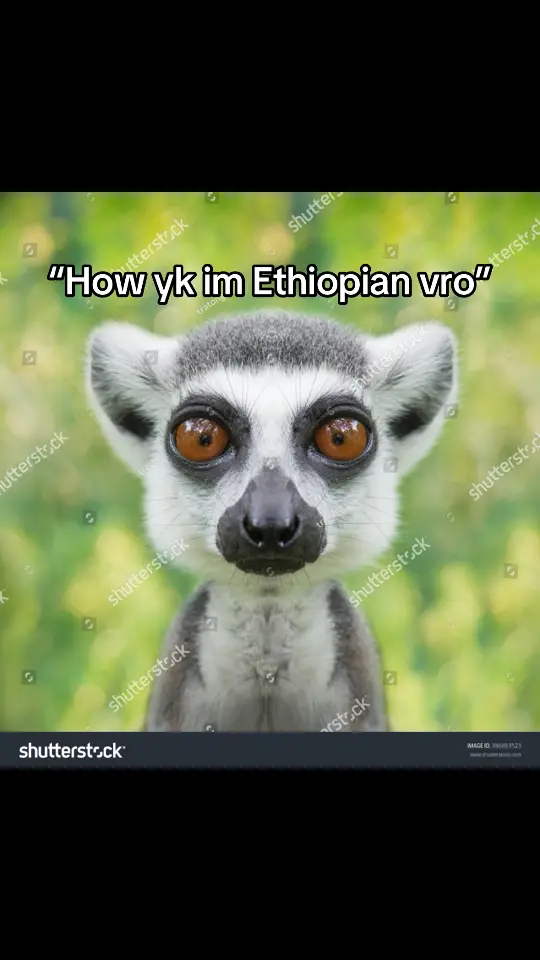 When an Ethiopian calls me “vro”😭😭😂✌🏾  #fyp #foryoupage #ethiopian_tik_tok 