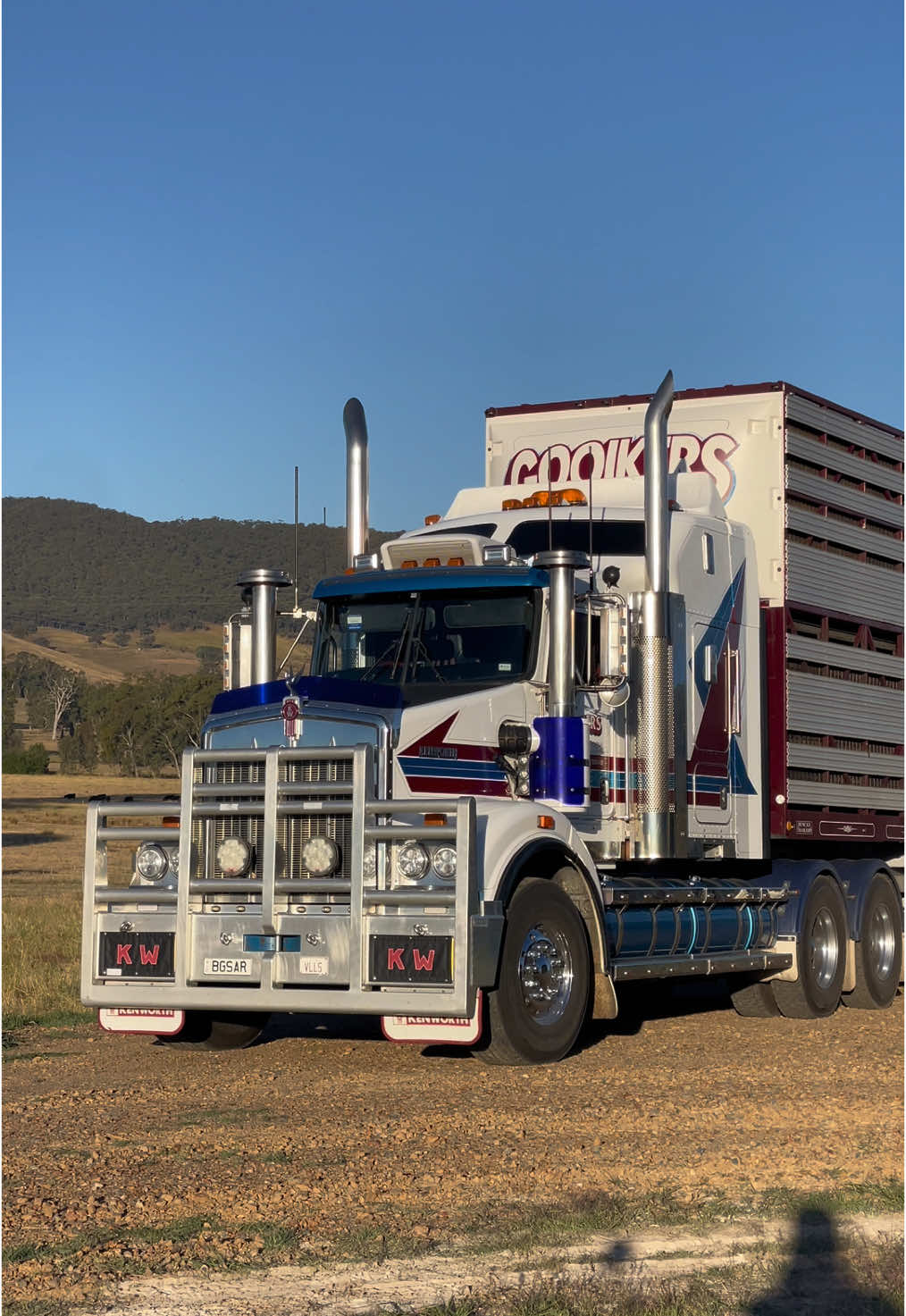 “BGSAR”😎 #truckingaustralia #northeasttrucking #kenworth #cattle #fypシ゚viral #kwopper 