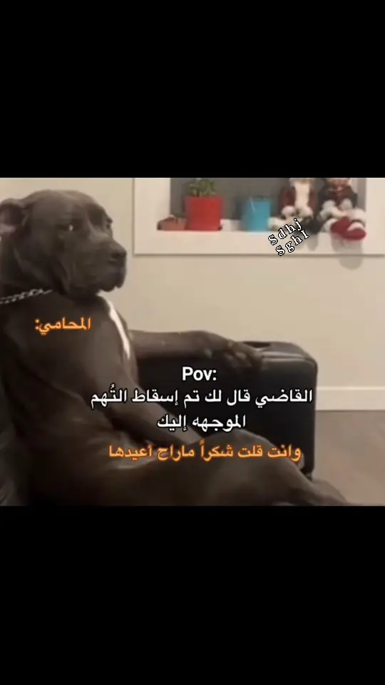 #ابومتعب_🇸🇦🐪 