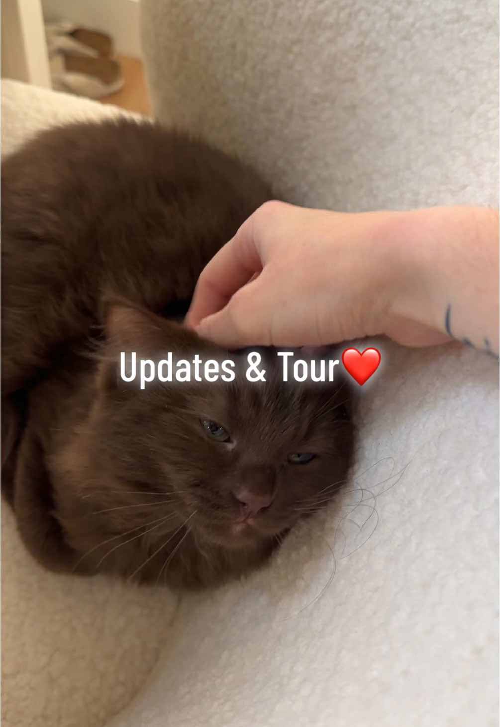 This voiceover was so much harder than it sounds😭 after 1 year (took way too long) me and my long distance bf @Jordan finally have a space together that we fully designed and created! Hope you enjoyed the tour🥰 #asmr #asmrsounds #asmrvideo #fyp 