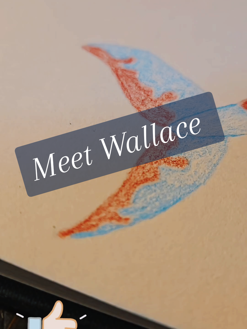 Meet Wallace, rare mix berry pie whale. Most of the time is stern and serious, but don't him fool you he is very fun-loving and friendly. Guiding his pod of berry pie whales within the pink sea.  Illustration is done with color pencils and background is oil pastels.  #art #artist #storytelling #storytimes #storyteller #story #artistsoftiktok #arttok #color #colorcustomizer #colorpencil #oil #oilpastel #pink #whale #marineanimal #sea #sealife #animals #animal #animallover #illustrator #illustration #drawing #draw #coloring #pie #dessert #ideas #creative #whimsical #cute #kawaii #magic #magical 