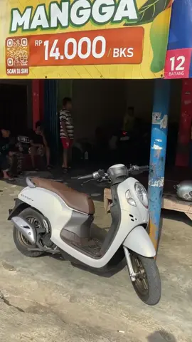 Std aja #scoopy #scoopygiwargiwar #siputih #kwngogoy #fypage #fyp #fyppppppppppppppppppppppp #tasikmalaya #carekaingmunbisa 