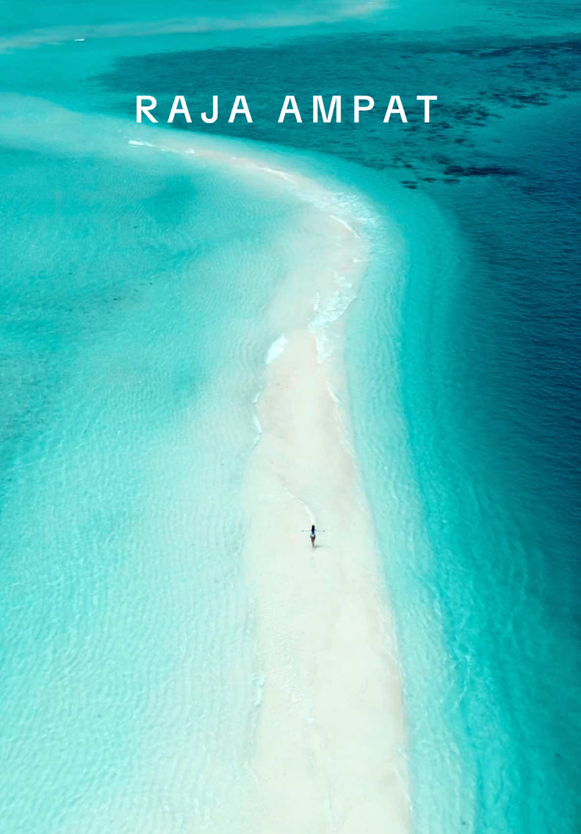 THE ULTIMATE BUCKETLIST DESTINATION 🌴 #rajaampat#indonesia🇮🇩#travelindonesia🇮🇩#travel#backpacking#backpacker#traveltheworld#island#palmtrees