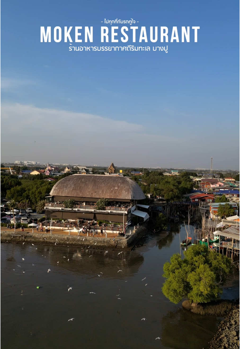 มอเกนบางปู🌴 ร้านอาหารริมทะเลบรรยากาศดี ที่อยู่ไม่ไกลกรุง  ใครที่กำลังมองหาร้านดีๆอาหารสดใหม่สำหรับพาครอบครัวหรือคนรักไปเติมเต็มความทรงจำดีๆ เป็นอีกร้านที่ไม่ควรพลาด    บรรยากาศช่วงเย็นตอนพระอาทิตย์ตกคือดีสุดๆยิ่งช่วงต้นปีแบบนี้เราจะได้ดูและให้อาหารนกนางนวลกันด้วย ใครที่อยากชมนกนางนวลต้องรีบมานะน้องจะมาแค่ปีละครั้ง  ร้านเปิดให้บริการทุกวัน 🕢จันทร์-พฤหัส 11:00-20:00 🕢ศุกร์ - อาทิตย์ 11:00-21:00 ทางร้านเป็น Pet Friendly🐶 สามารถพาน้องๆไปได้เลยแต่อย่าลืมสายจูงนะ🦮ถ้าต้องการรถเข็นทางร้านก็มีบริการให้ด้วย #คาเฟ่ #ร้านอาหารใกล้กรุง #tiktokกินเที่ยว #มอเกนบางปู #นกนางนวล #อาหารทะเล #fyb 