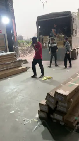 Bốc xếp mặt hàng tấp gỗ nhựa#bathanh #namdinh #zxycba #LearnOnTikTok 