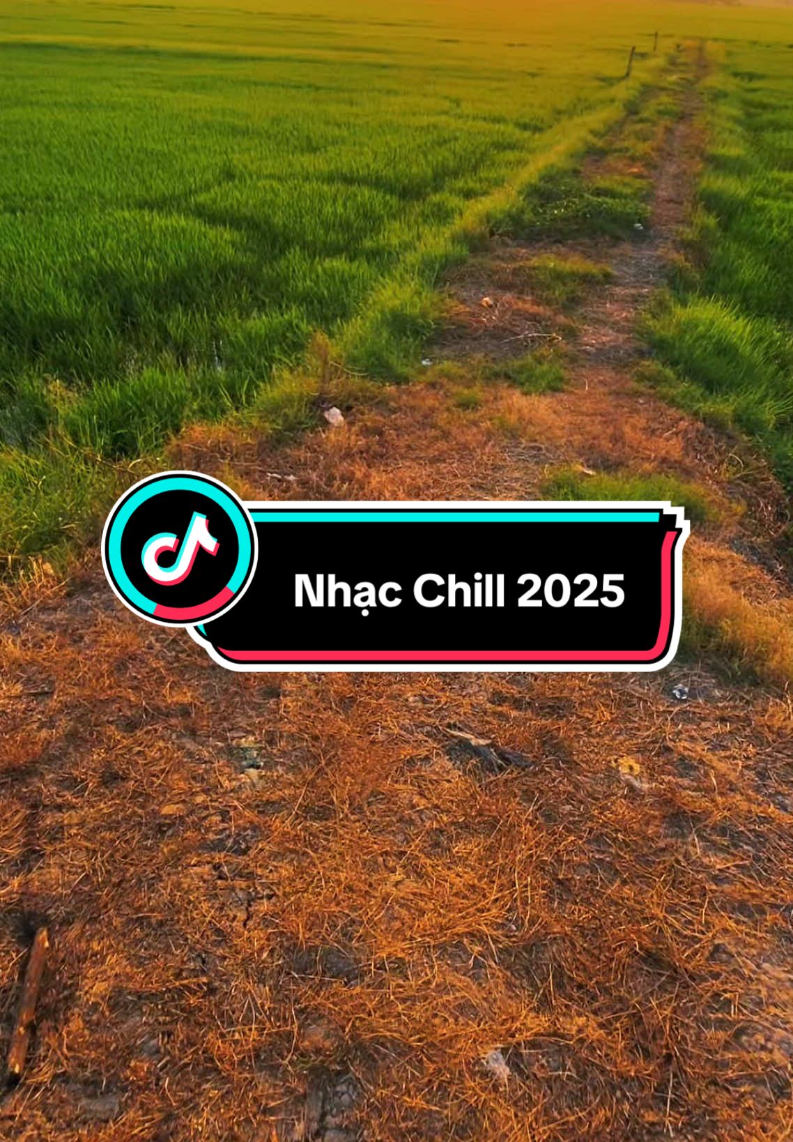 #CapCut Nhạc Chill thật sự . #capcutradio #chill #tacudicungnhau #thugian #binhminh #xuhuong 