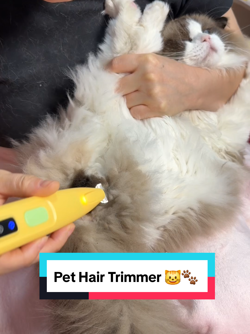 Pet Hair Trimmer 😺🐾 #pethairremoval #lintremover #catproducts #shedding 