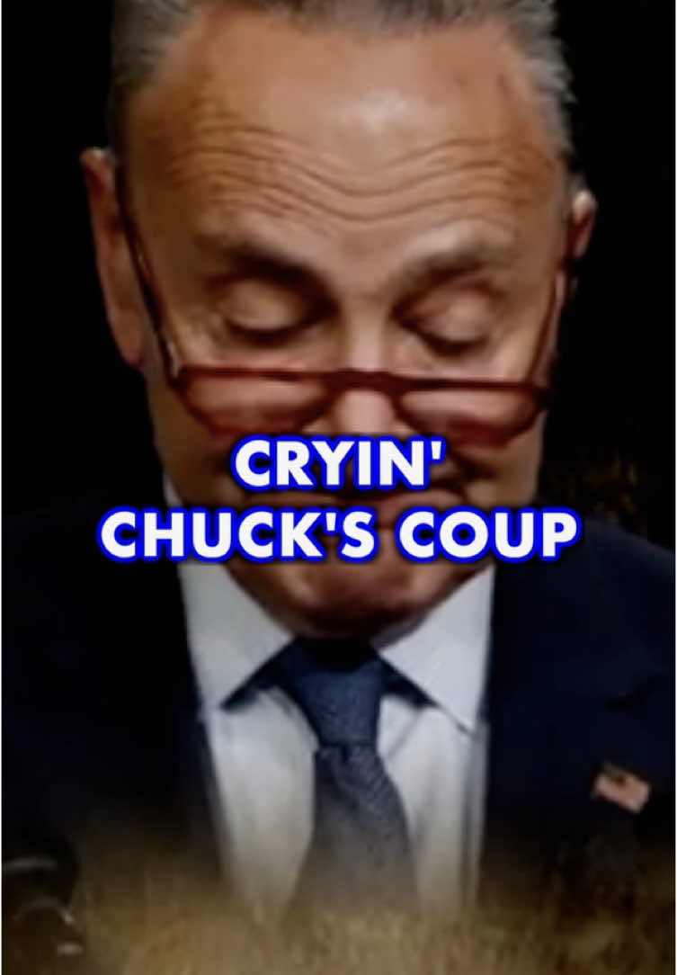 We just found out that Chuck Schumer was the lead actor in the coup that ousted Biden from the presidential nomination.