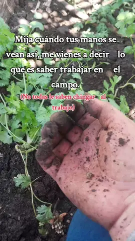#amoralcampo😍🤠 #únicas #💚♡💚 #🌱 🌱🌿