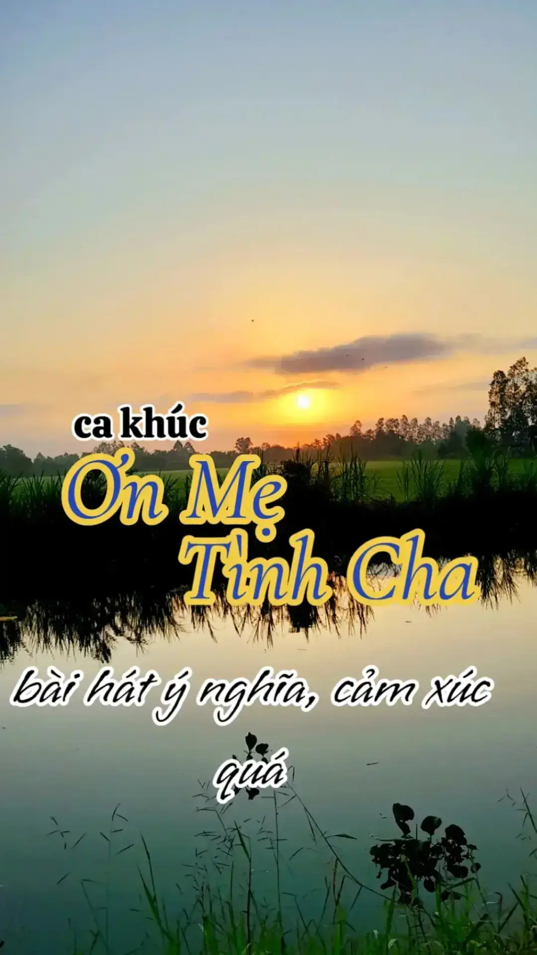 #thinhhanh #nhachaymoingay #trieuwieu 