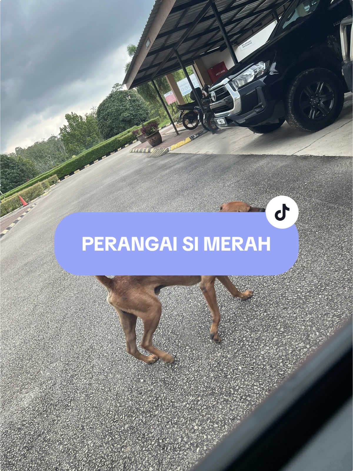 Bukan main santai tengah-tengah jalan dengan terkangkang macam tu.