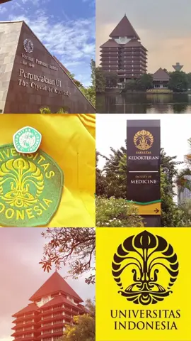 cinta untuk mu luar biasaa🫵🏻💛💚  #CapCut #ui #fk #dream #snbp #kedokteran #fyp #fypage 