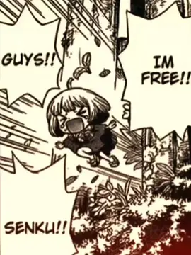 A little spoiler, last one.  #drstone #suika #senku #drstonemanga 