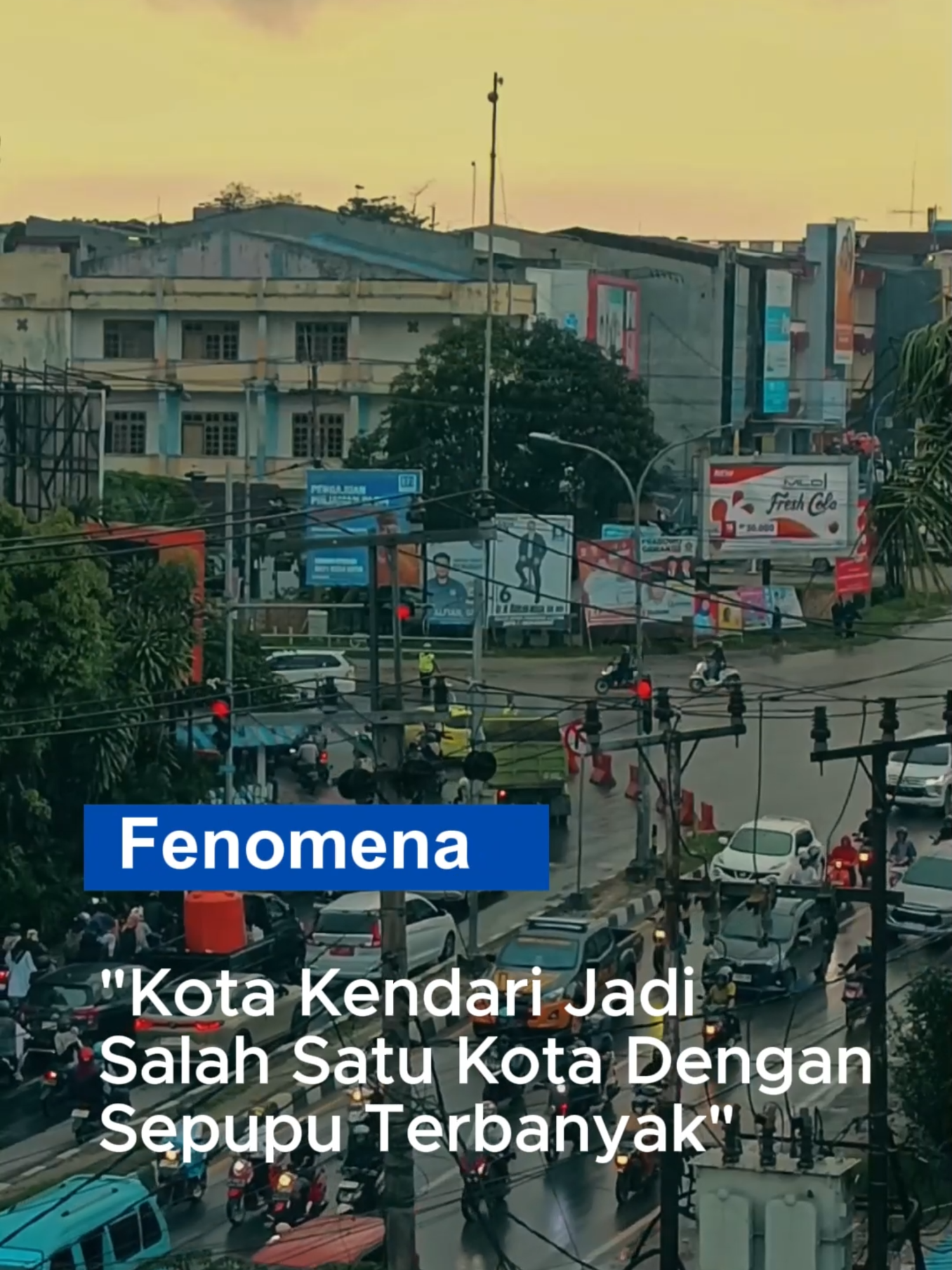 Kota Kendari, kota dengan seribu sepupu. Kota Kendari adalah ibu kota dari Sulawesi tenggara. Kota ini memiliki julukan yaitu kota lulo yang di ambil dari nama tarian tradisional suku asli kota tersebut yaitu suku tolaki. Tarian lulo itu sendiri menggambarkan kebersamaan dan persaudaraan. Selain itu kota Kendari juga memiliki satu julukan lain yang terkenal di kalangan anak muda yaitu kota seribu sepupu. Julukan ini berasal dari anak-anak muda kota Kendari yang merasa suatu kejadian akan lebih mudah asal ada kata 