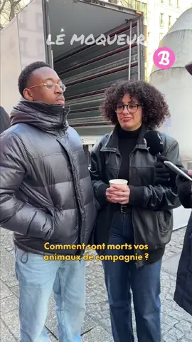 Comment est m*rt ton animal de compagnie ? Nan c'est une dinguerie #drole #videodrole #videoviral #memestiktok #mbappe #squeezie #homme #femmes #animal#Relationship